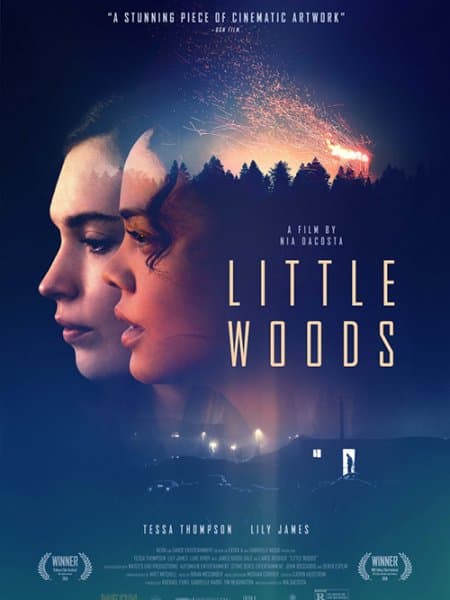 Лесок / Little Woods (2018/WEB-DL) 1080p