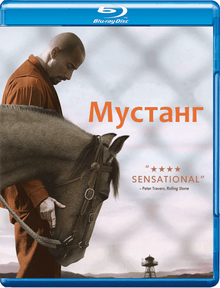 Мустанг / The Mustang (2019/BDRip) 1080p