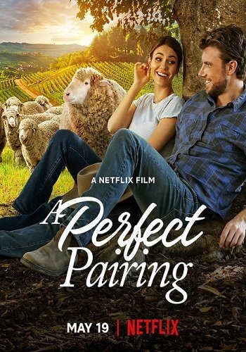 Идеальное сочетание / A Perfect Pairing (2022/WEB-DL) 1080p